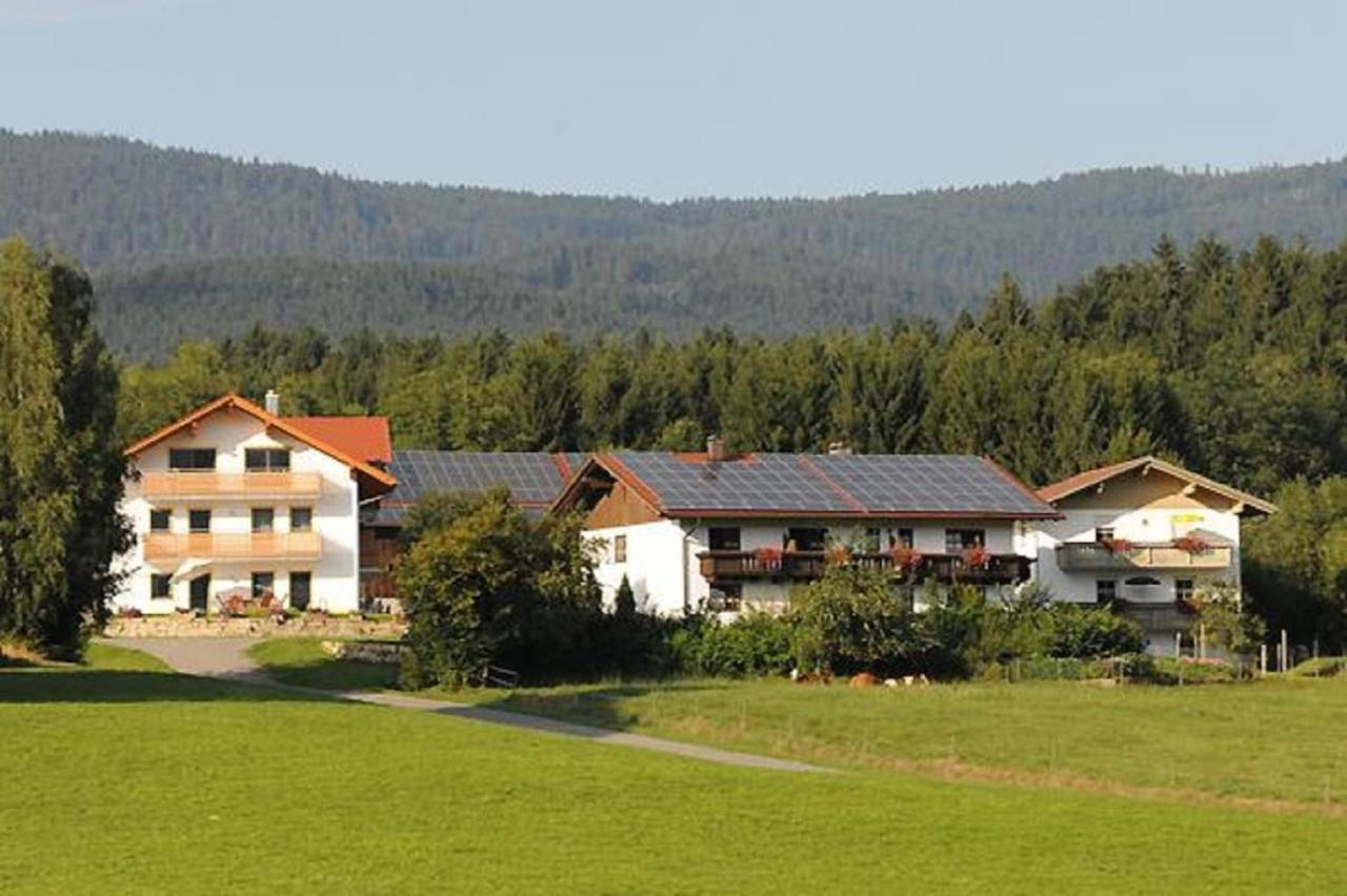 Exenbacher Hof - Pension Arnbruck Zewnętrze zdjęcie