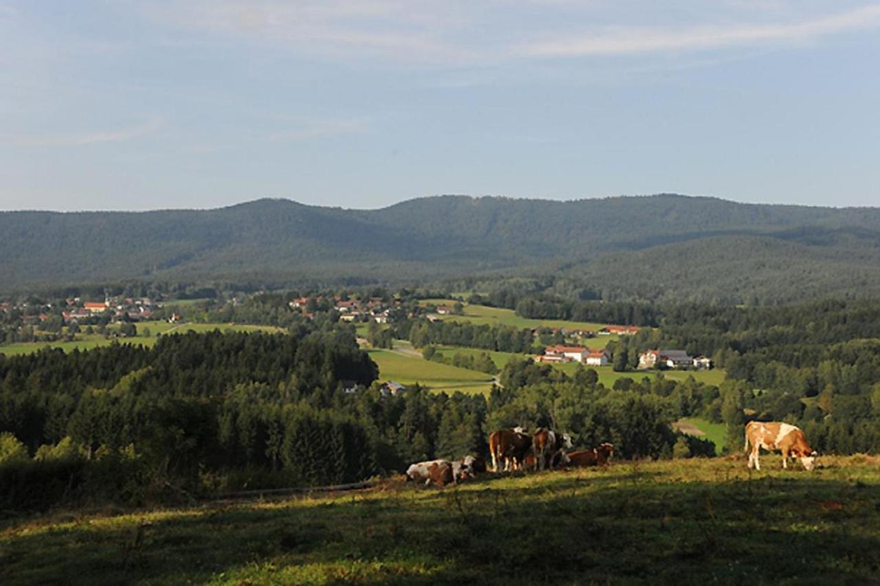 Exenbacher Hof - Pension Arnbruck Zewnętrze zdjęcie