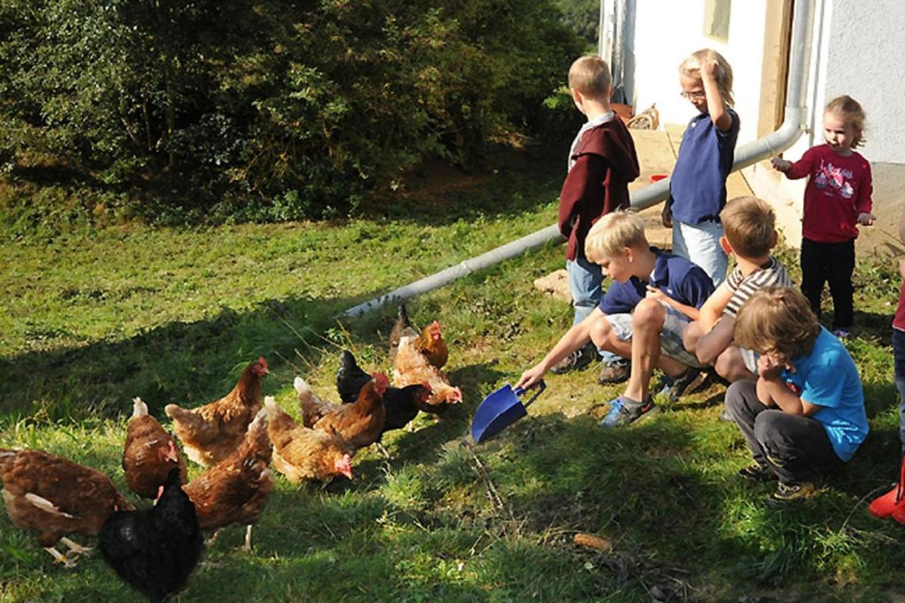 Exenbacher Hof - Pension Arnbruck Zewnętrze zdjęcie